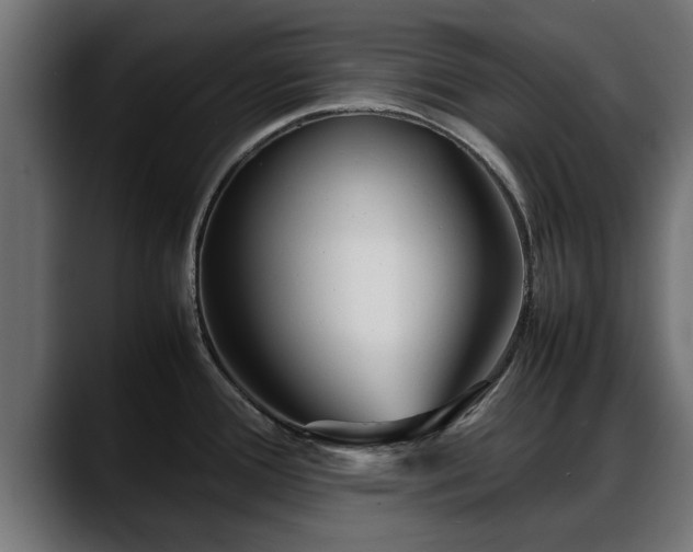 X0000088361388200705291258