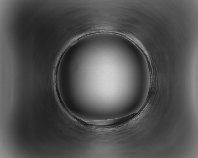 X0000088361389200705291258