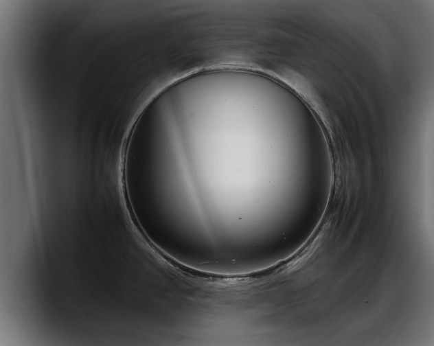 X0000088361390200705291258