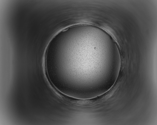 X0000088361391200705291258