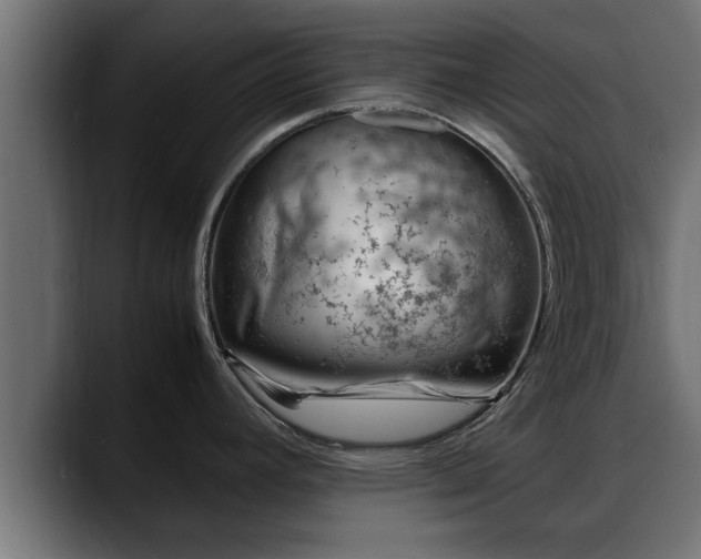 X0000088361392200705291258