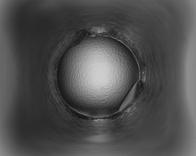 X0000088361393200705291258