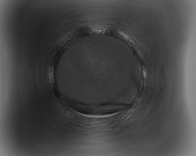 X0000088361394200705291258