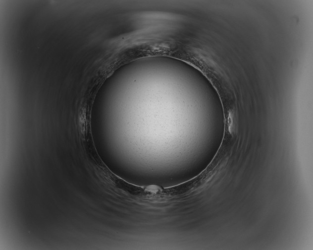 X0000088361395200705291258