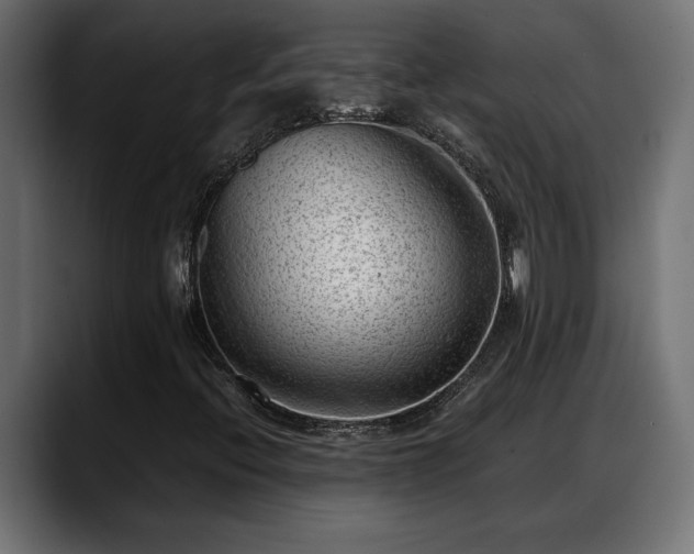 X0000088361396200705291258