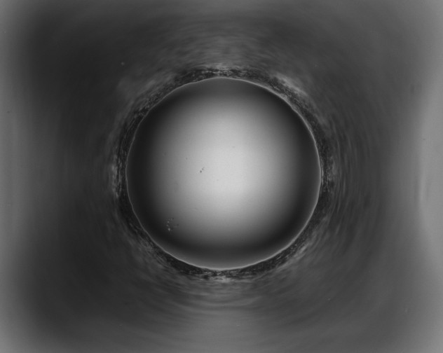 X0000088361398200705291258