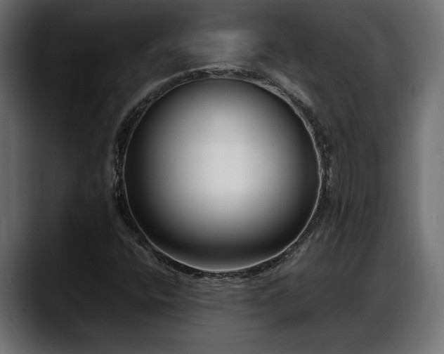 X0000088361400200705291258