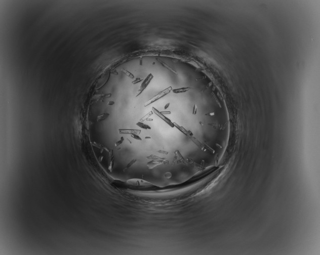 X0000088361401200705291258