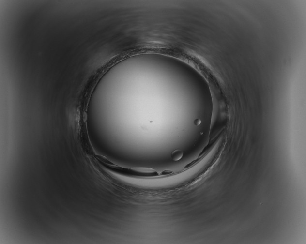 X0000088361402200705291258