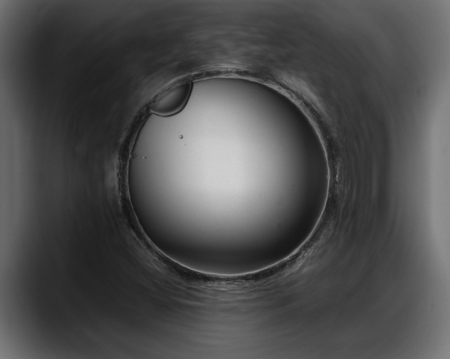 X0000088361404200705291258