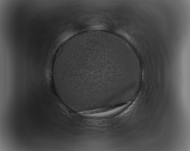 X0000088361405200705291258