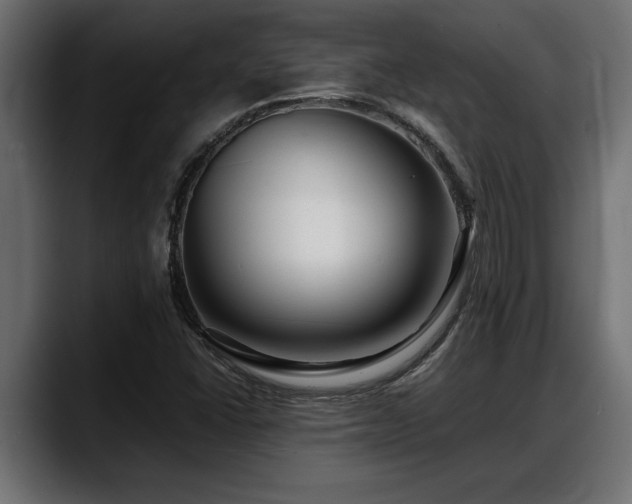 X0000088361406200705291258