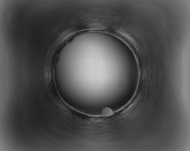 X0000088361407200705291258