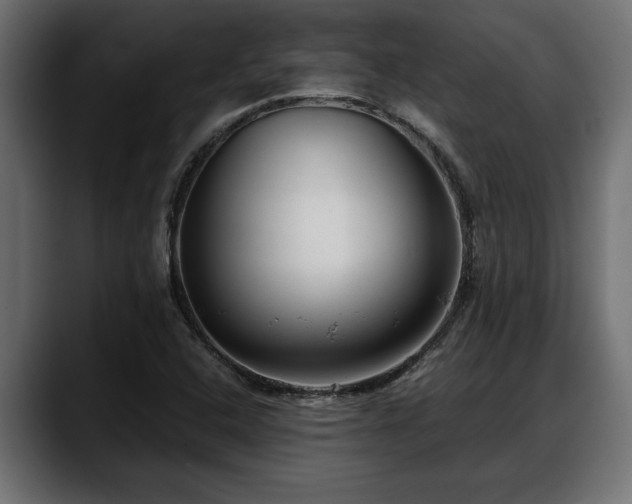 X0000088361408200705291258