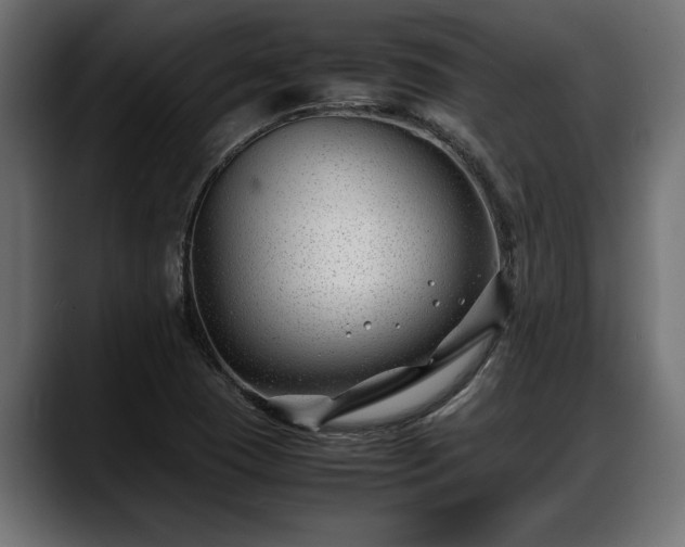 X0000088361409200705291258