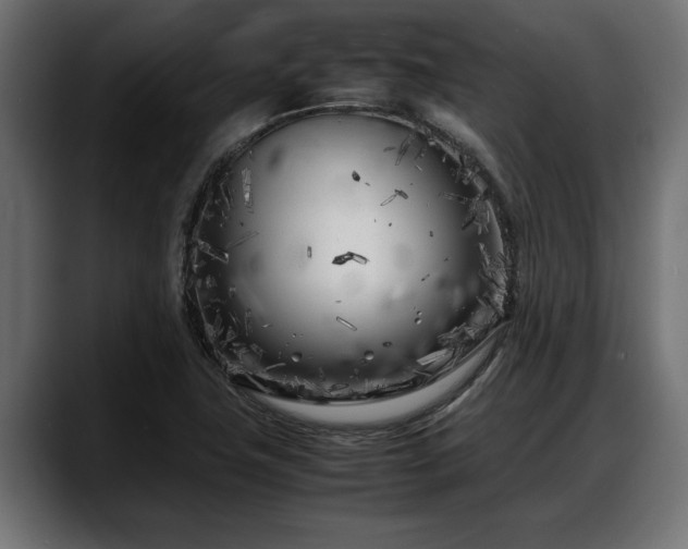 X0000088361411200705291258