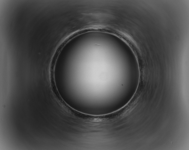 X0000088361412200705291258