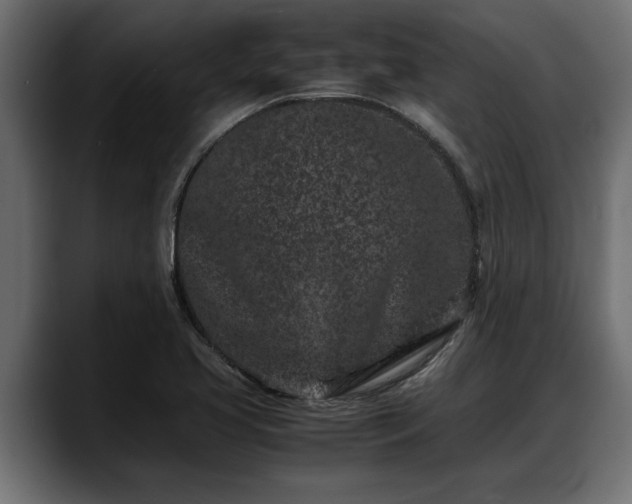 X0000088361413200705291258