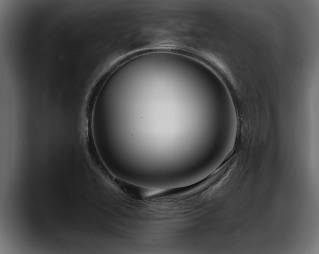 X0000088361414200705291258