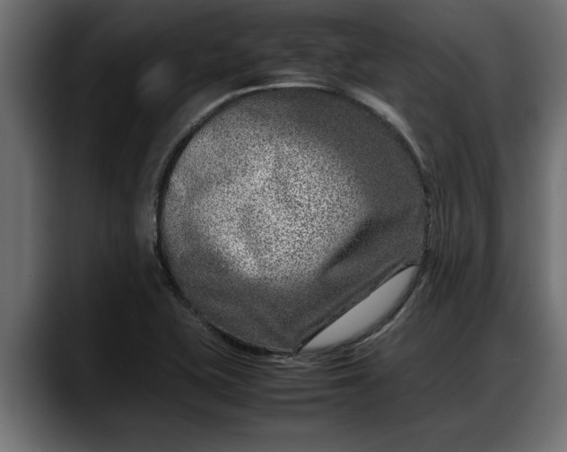 X0000088361415200705291258