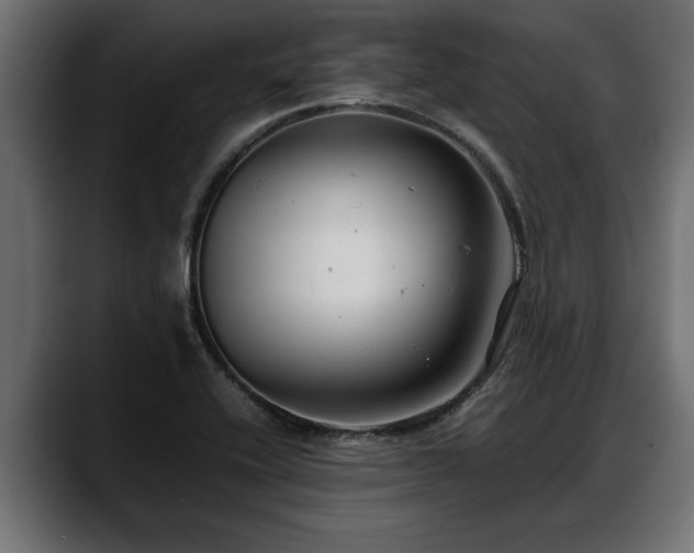 X0000088361416200705291258