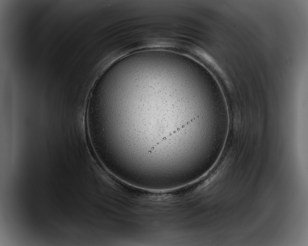 X0000088361417200705291258