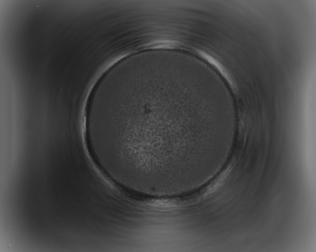 X0000088361418200705291258