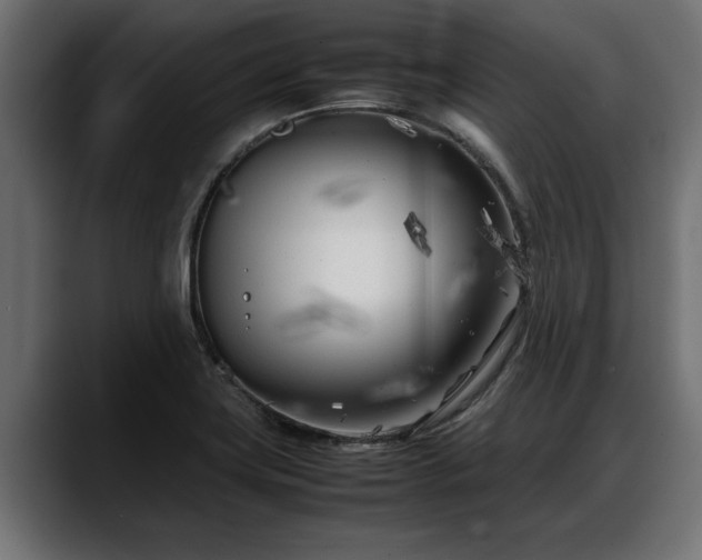X0000088361419200705291258