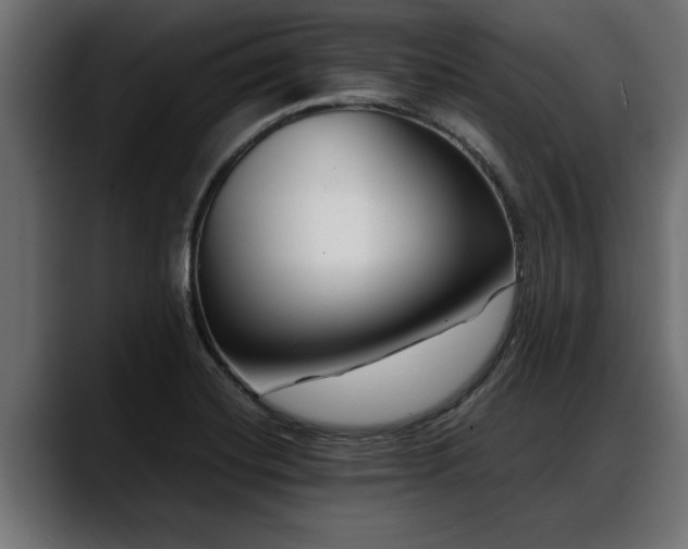 X0000088361420200705291258