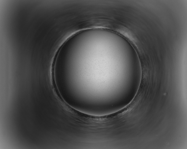 X0000088361423200705291258