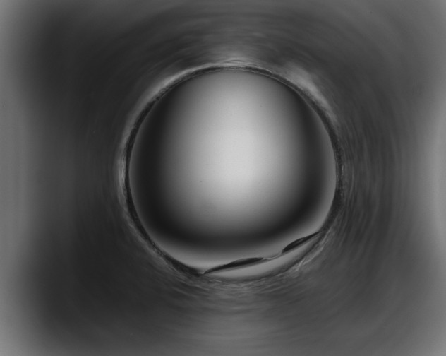 X0000088361424200705291258