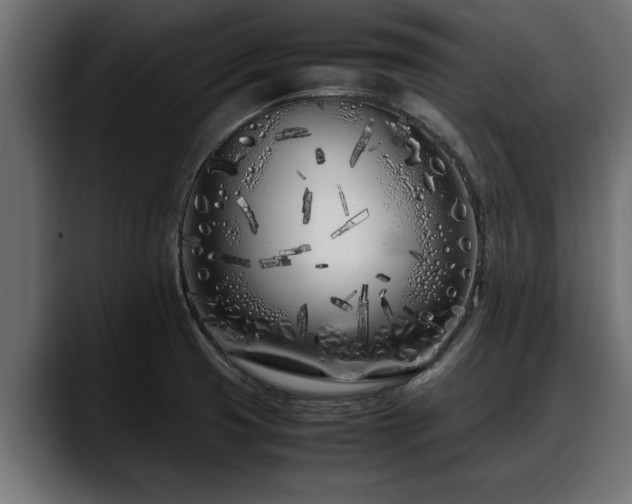 X0000088361425200705291258
