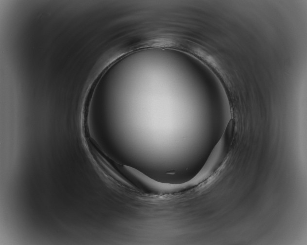 X0000088361426200705291258