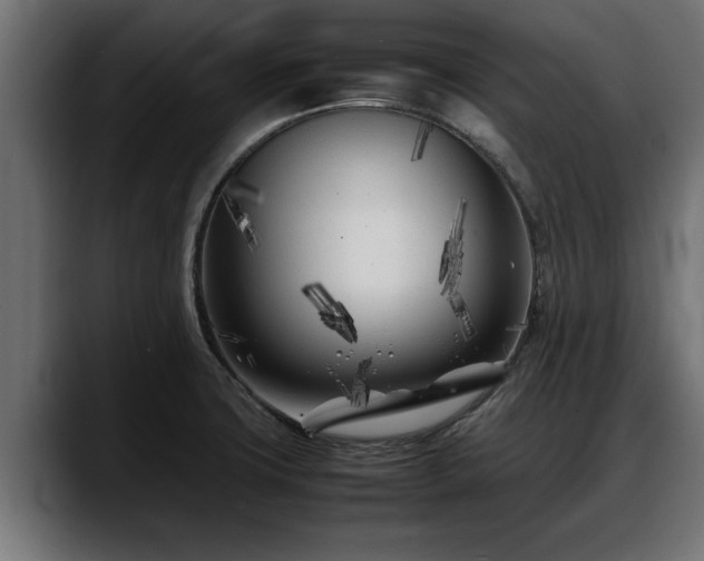 X0000088361427200705291258