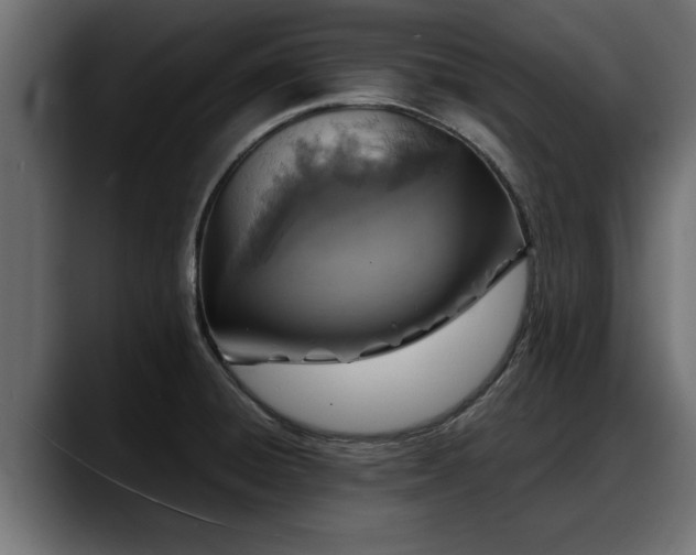 X0000088361428200705291258