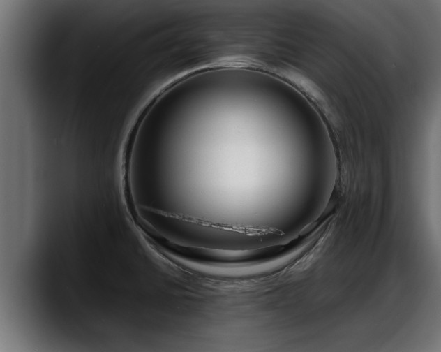 X0000088361430200705291258