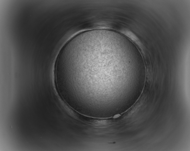 X0000088361431200705291258