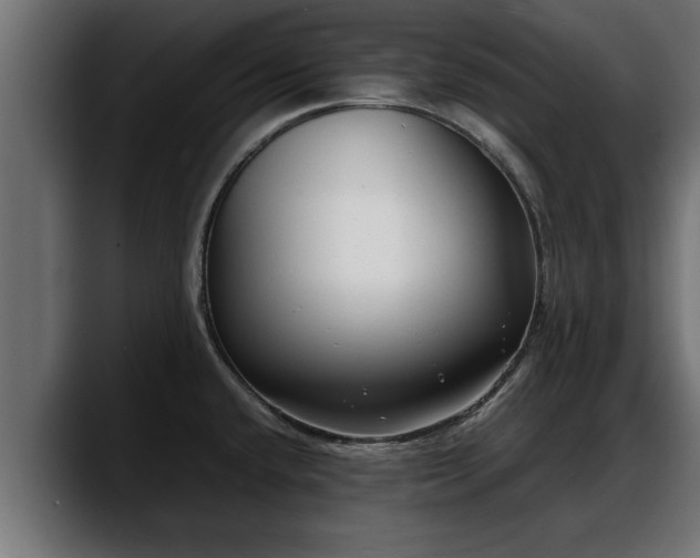 X0000088361432200705291258