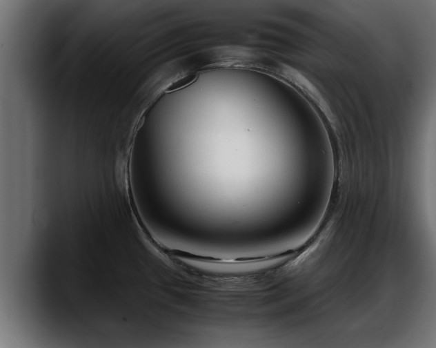 X0000088361433200705291258