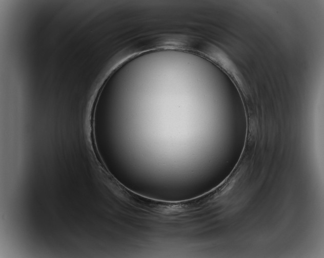 X0000088361435200705291258