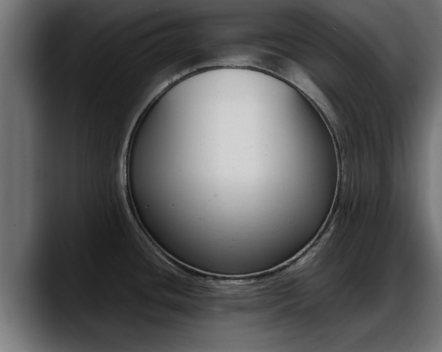 X0000088361436200705291258