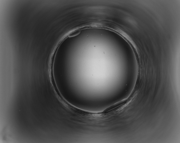 X0000088361437200705291258