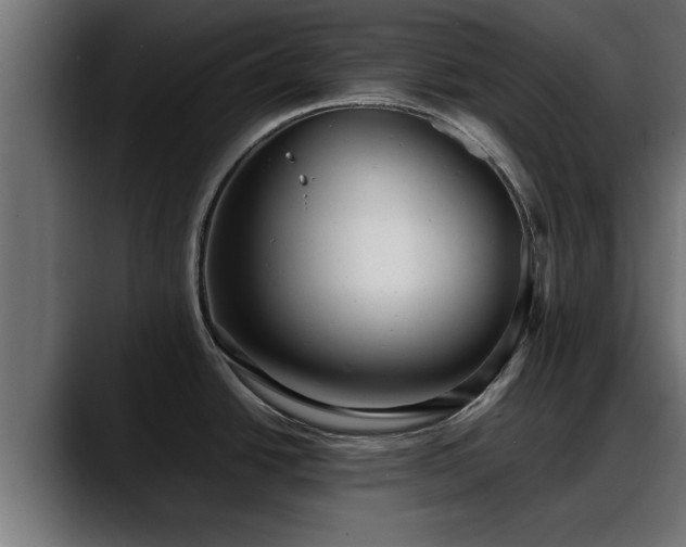 X0000088361438200705291258