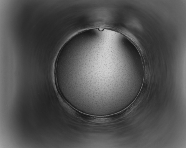 X0000088361439200705291258