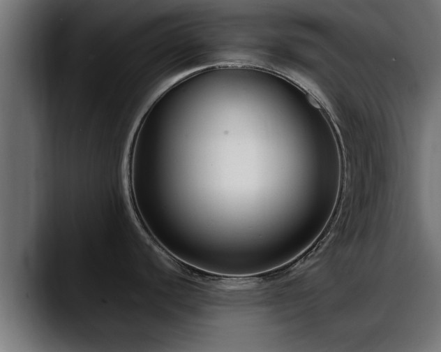 X0000088361440200705291258