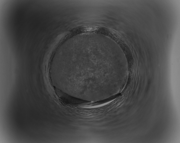 X0000088361441200705291258