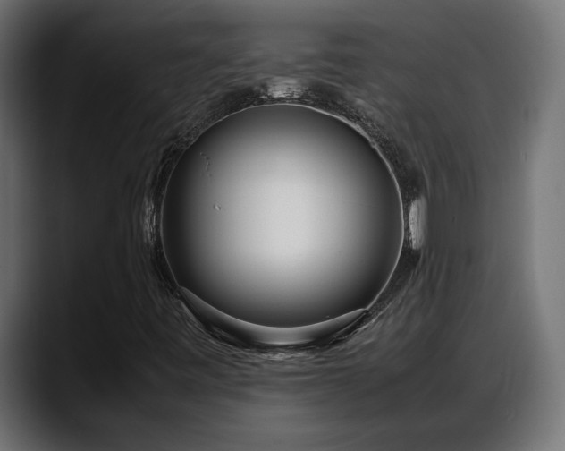 X0000088361443200705291258