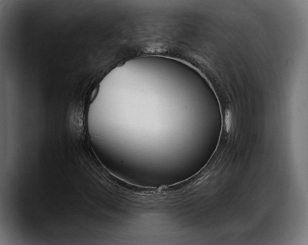 X0000088361444200705291258