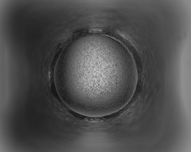 X0000088361445200705291258