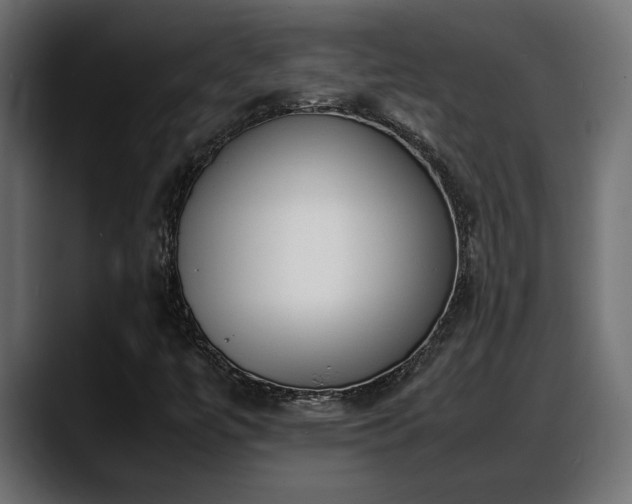 X0000088361447200705291258